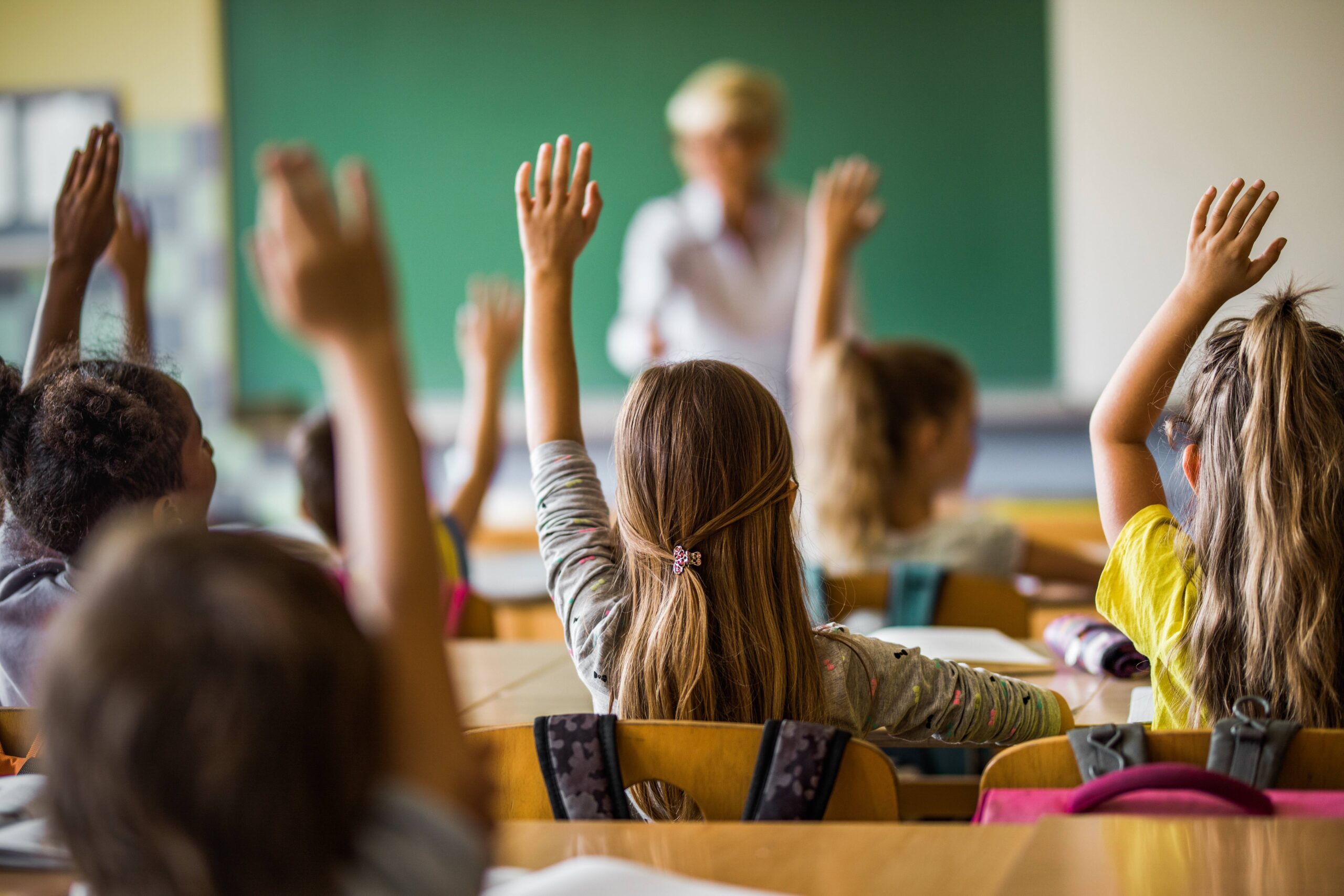<trp-post-container data-trp-post-id='1846'>k-12 Schools</trp-post-container>